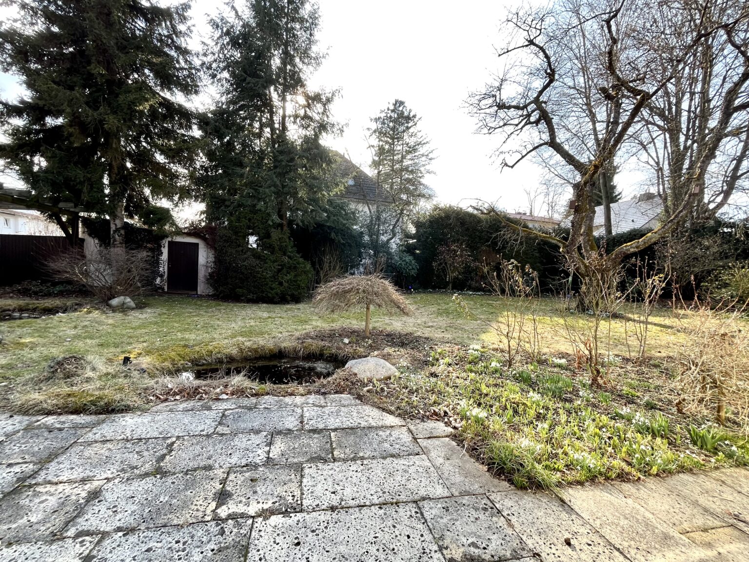 Hintergrund_für_Bild_1_Alternative_3